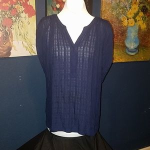 Navy Sheer Blouse 3X